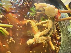 -鸿顺老铁锅美蛙鱼府(解放碑店)