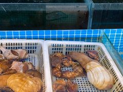 -南庄酒家·海鲜粤菜·25年老字号(环城南路店)