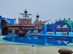 -海合安青岛极地海洋公园