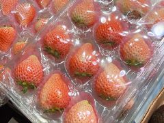 -深圳市海吉星国际农产品物流管理有限公司