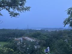 -欢乐松鼠谷