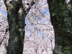 -龙美术馆(西岸馆)
