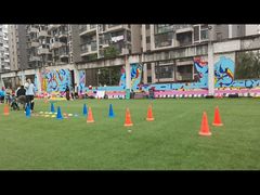 -凯孚尼儿童运动馆(空港总店)