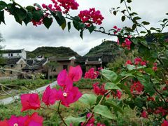 -上甘棠村