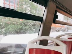 -BUS TOUR观光巴士