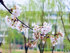 -公益图书馆(江南大学店)