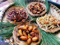 -昆虫窝子·特色云南菜(拓东路总店)