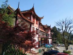 -铁山坪森林公园