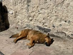 -比如骷髅墙景区