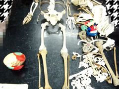 教室-苏州卫生职业技术学院(石湖校区)