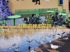 -翠湖公园