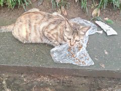 -狼山风景名胜区