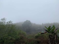 -千泷沟大瀑布旅游区