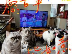 -美联众合爱康动物医院•复杂内科•肿瘤科•牙科•腔镜诊疗中心