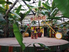 -呀路古热带植物园