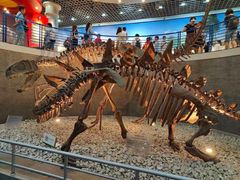 -国家自然博物馆