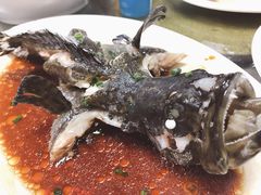 石斑鱼清蒸-四川小胡子海鲜(丁村万人海鲜广场店)