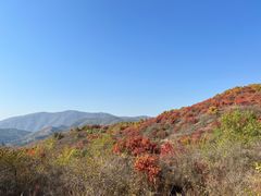 -北京西山国家森林公园