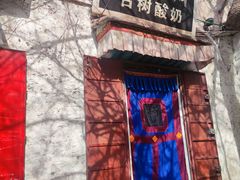 -古树酸奶(八廓南街店)