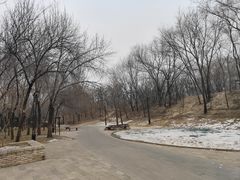 -元大都城垣遗址公园