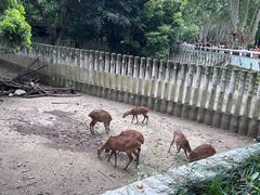 -成都动物园