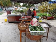 -大莲湖农家乐(青西郊野公园店)