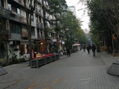 -泡桐树街