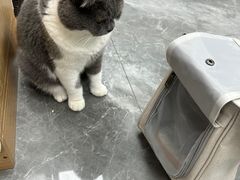 -东莞宠友24H宠物中心医院·转诊夜诊·异宠(新河北路院)