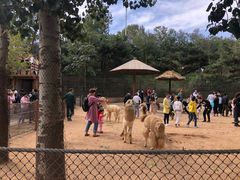 -大连森林动物园