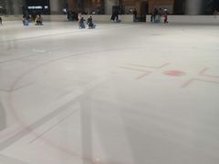 -TheRink大零溜冰场(IFS国金中心店)