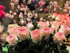 -深圳威尼斯英迪格酒店-邻芙花廊下午茶·NINFA GALLERY·蛋糕·咖啡