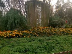 -白鹭湾湿地公园