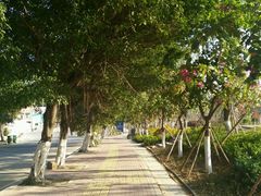 -草庵摩尼教遗址公园