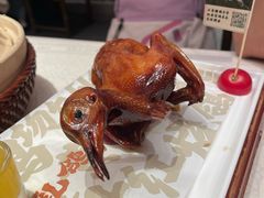 -大鸽饭(岗顶店)