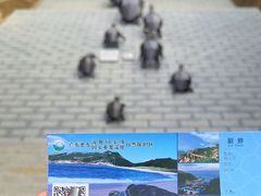 -广东惠东海龟国家级自然保护区