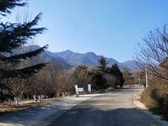 -北京鹫峰国家森林公园