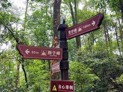 -缙云山景区