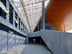 -野马渡文体中心游泳·健身