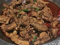 -成老灶火锅鸡(平山店)