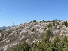 -白水寺森林公园