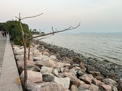 -深圳湾公园(南山区)