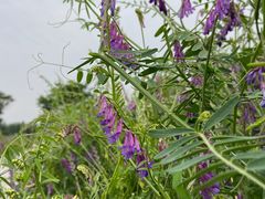 -汉长安城未央宫国家考古遗址公园