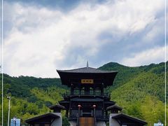 -大唐贡茶院