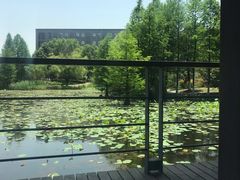 -3W咖啡(国家软件园店)
