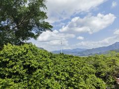 -天适樱花悠乐园