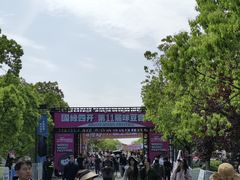 -南京市无想山景区