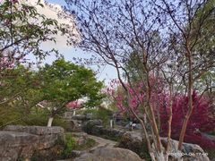 -太子山公园(园东路)