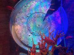 -沈阳海洋探索中心