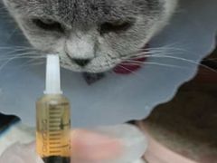 -达爱动物医院·犬猫分区·CT·复杂眼科(远洋山水分院)