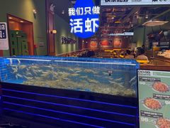-0048鲜活香辣虾·火锅(铜陵路店)